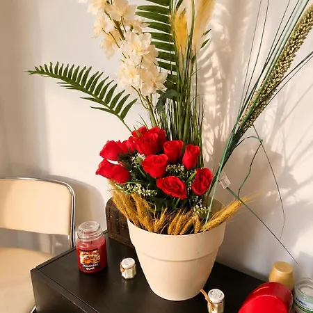 Apartament Tantra 6 Queen Filipescu Bucureşti